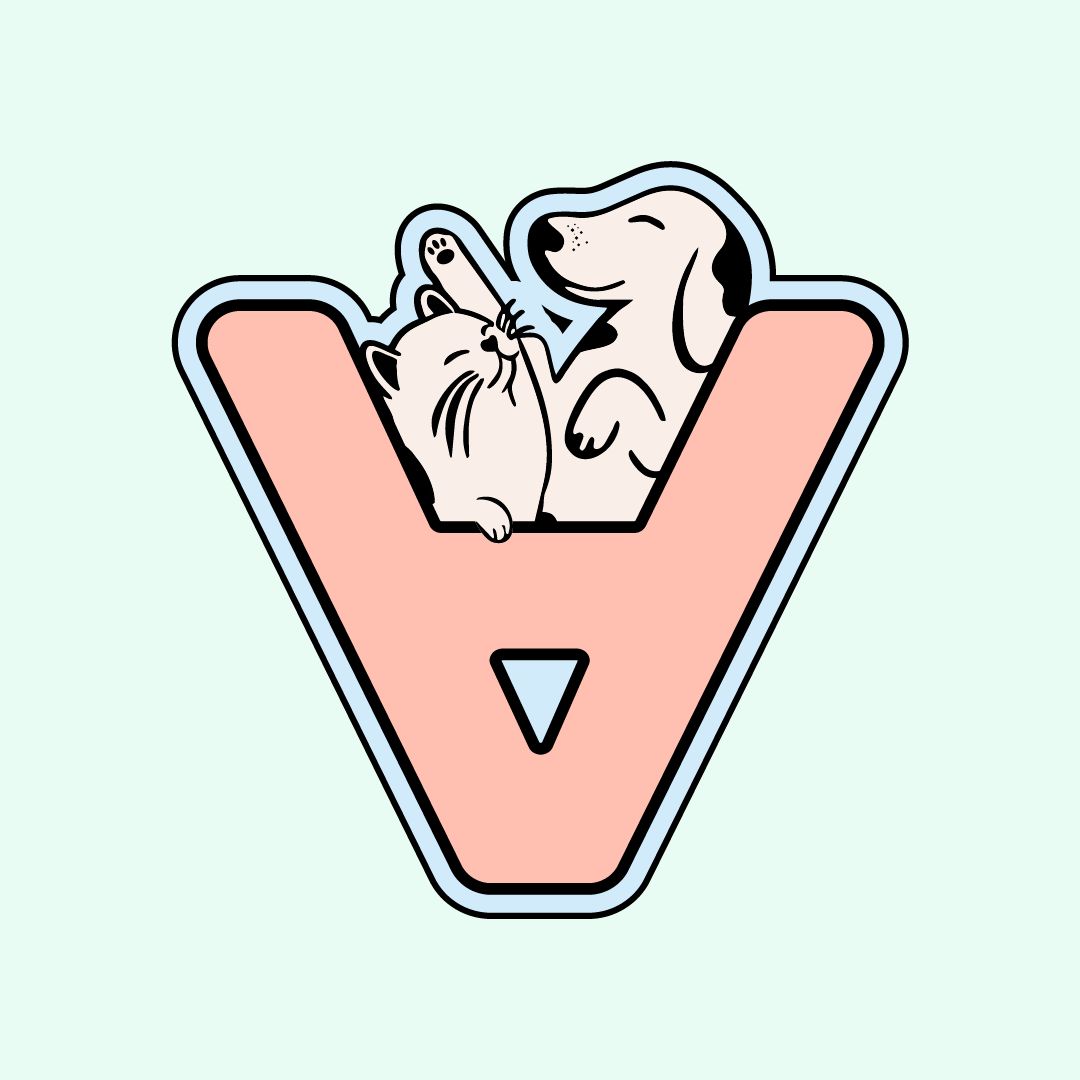 VetAnimera | Bandırma Veteriner Kliniği